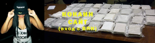 индика Алзамай