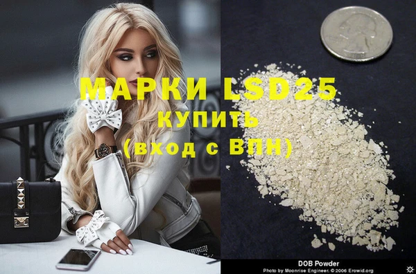 индика Алзамай