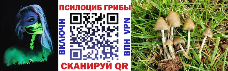 дарк нет состав  Кочубеевское  Галлюциногенные грибы мухоморы 